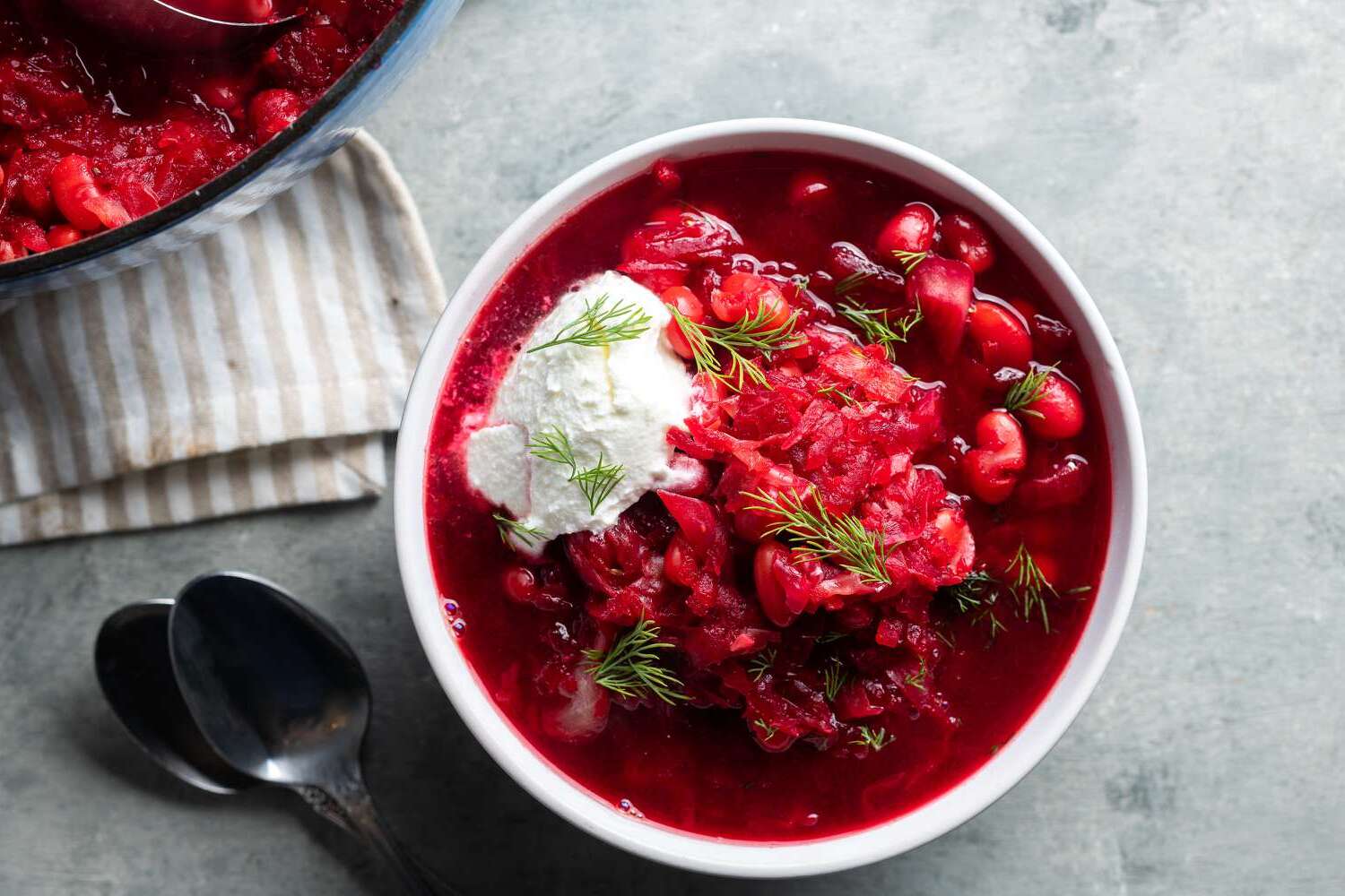 Borscht Stew Recipe