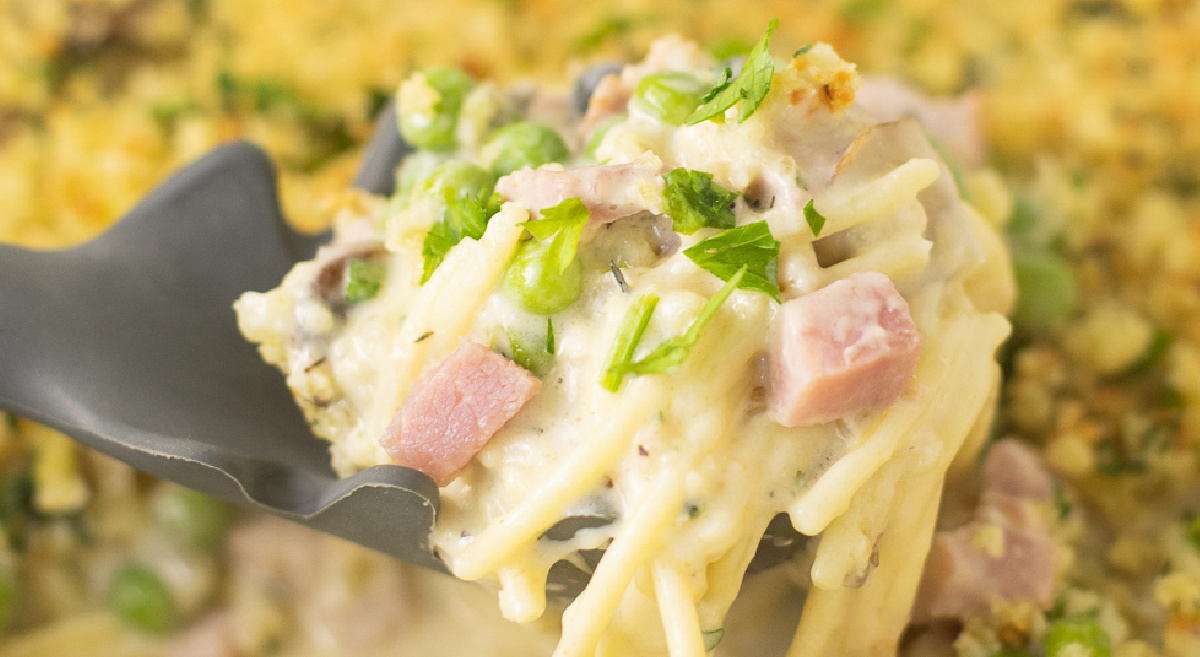 ham-tetrazzini-casserole-recipe