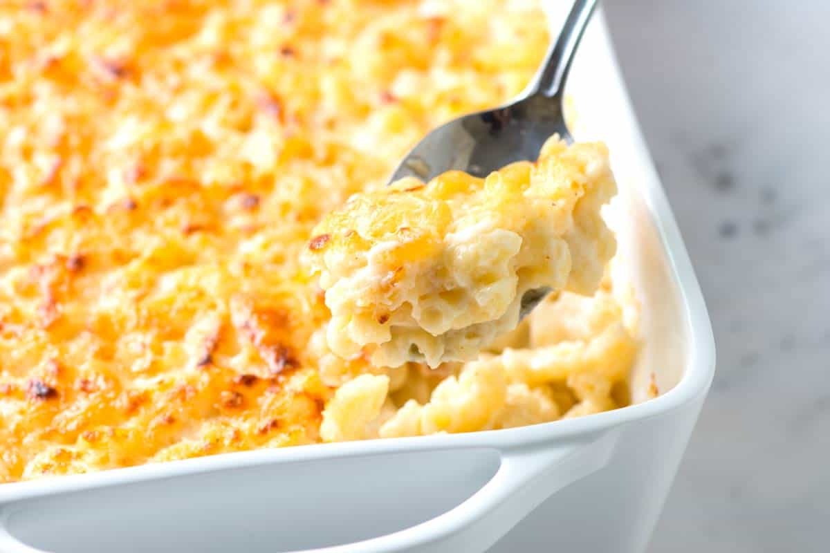 Cheese Roux Casserole Recipe