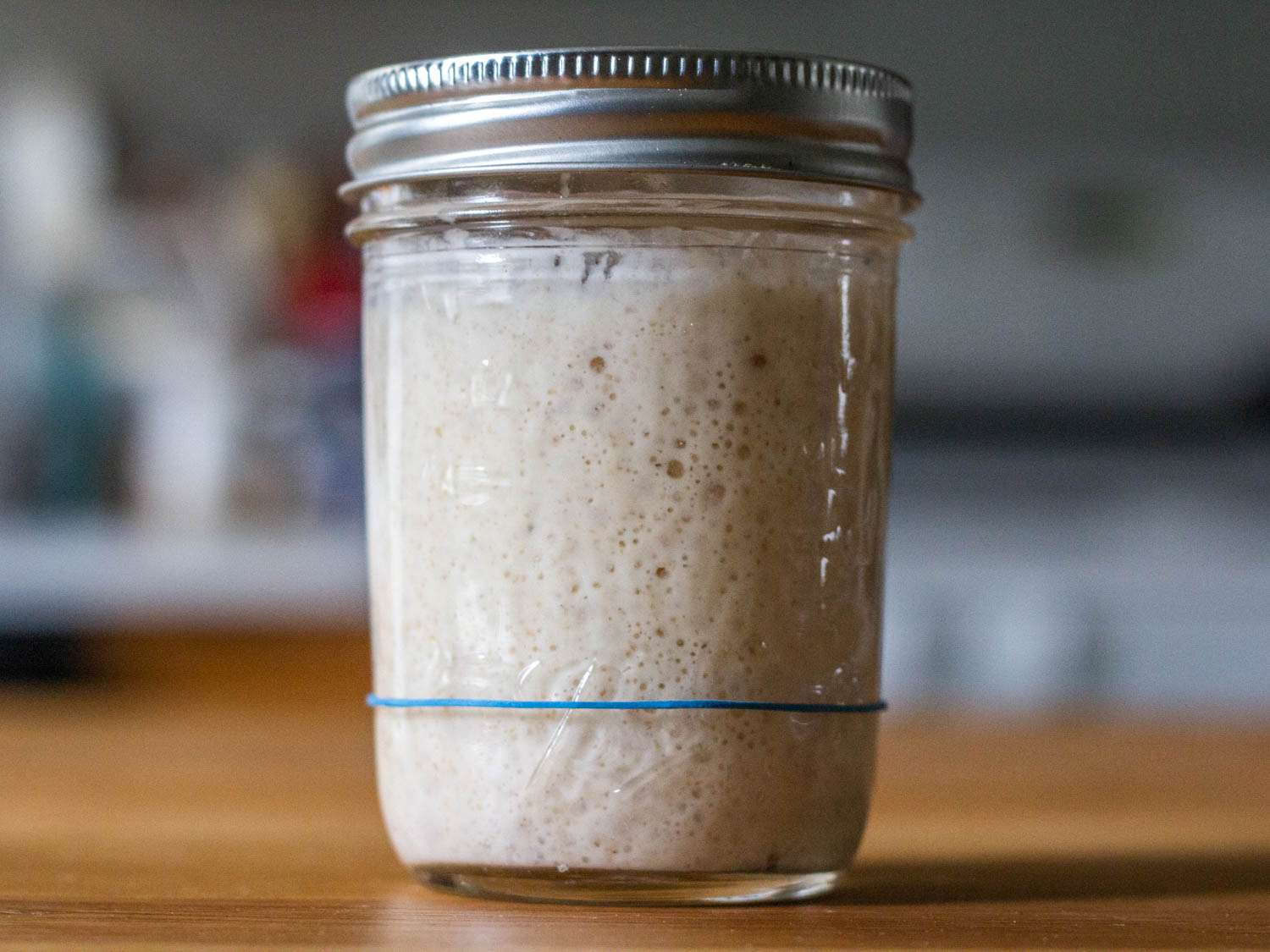 Sourdough Starter Recipe