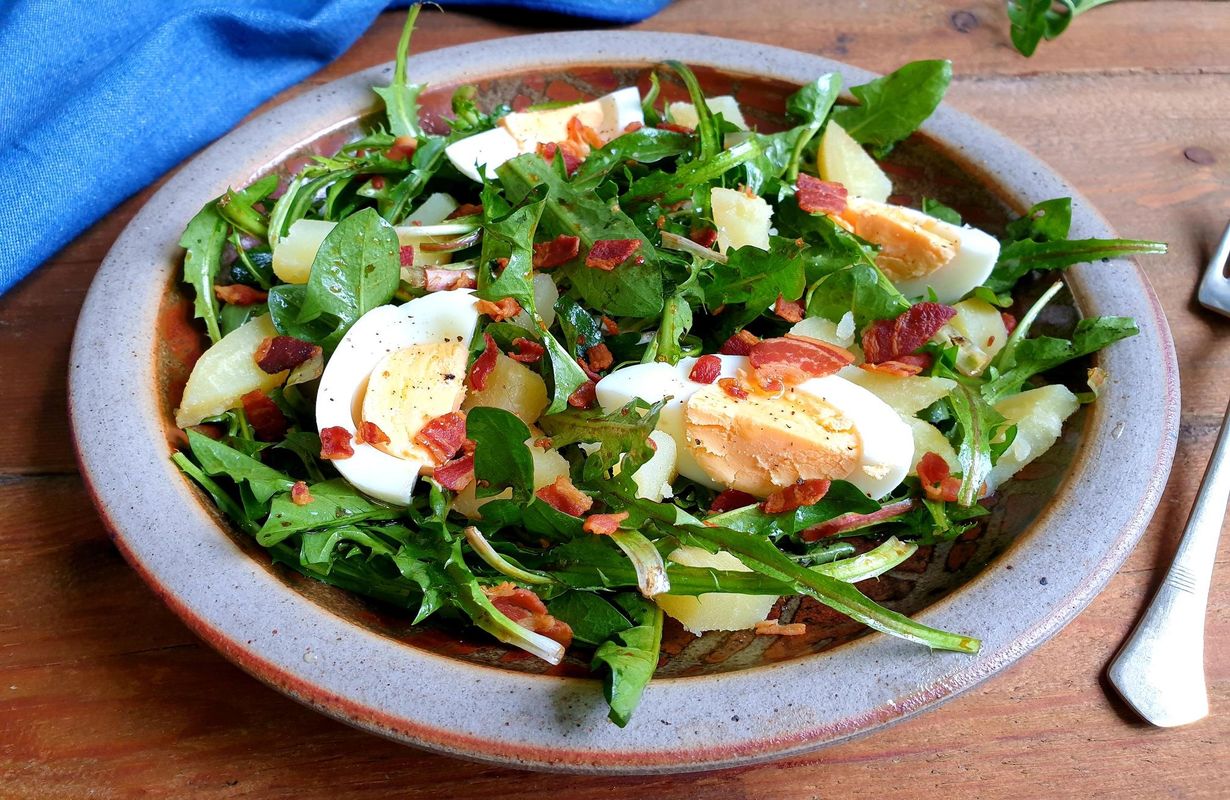 Dandelion Salad Recipe
