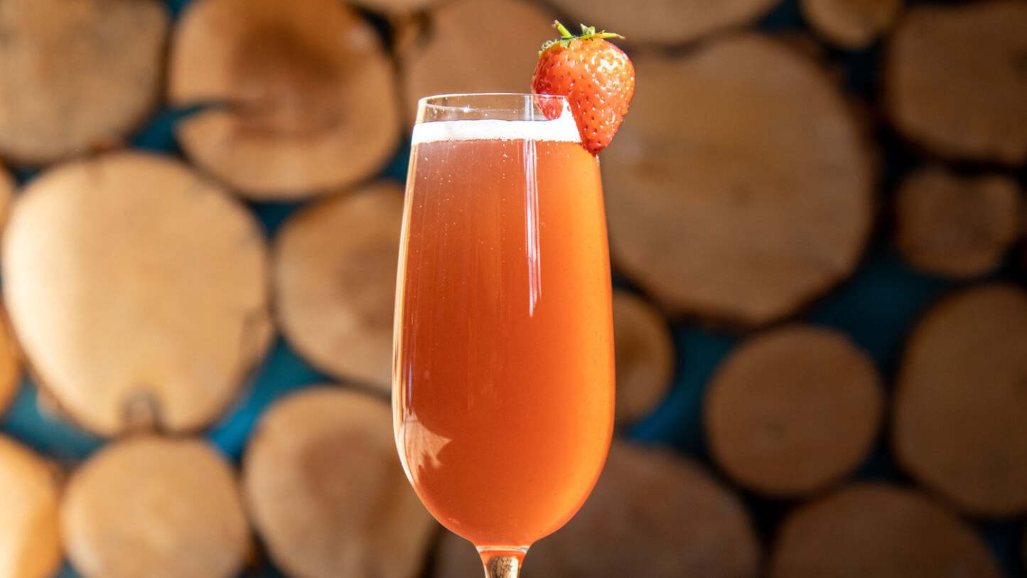 Sloe Gin Fizz Cocktail Recipe